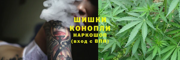 Альфа ПВП Медногорск