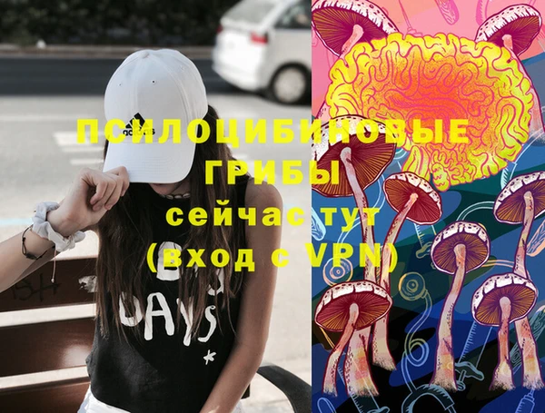 MDMA Premium VHQ Медвежьегорск
