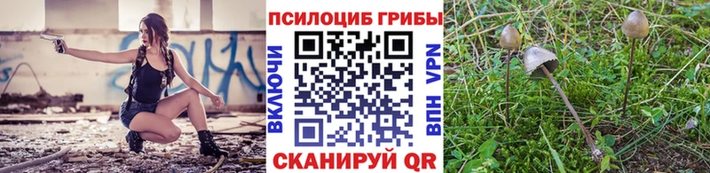 кракен онион  Павловская  Псилоцибиновые грибы мухоморы 